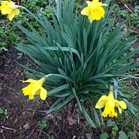 Piękno natury... :)