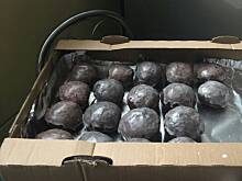 Fot. je7mima, Pączki