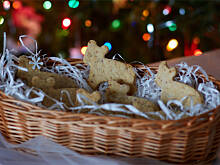 Fot. Wkn, Psie ciasteczka smalcowe