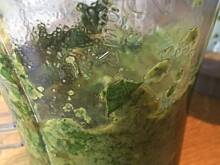 Fot. gregoruk, Salsa verde