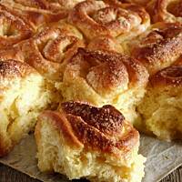 cuib de viespi – gniazdo os…