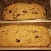 Bułka Brioszka z Automatu i Piekarnika