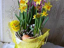 Fot. hira, Wielkanoc 2015