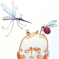 Co zrobić, żeby komary i meszki nie popsuły urlopu? 