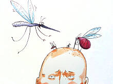 Fot. Wkn, Co zrobić, żeby komary i meszki nie popsuły urlopu? 