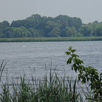 Stołeczne Książece Miasto Płock 