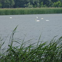 Stołeczne Książece Miasto Płock 