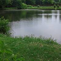 Stołeczne Książece Miasto Płock 