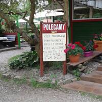 Stołeczne Książece Miasto Płock 