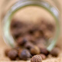 Ziele angielskie - ile nazw tyle zastosowań