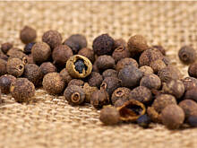 Fot. Wkn, Ziele angielskie - ile nazw tyle zastosowań