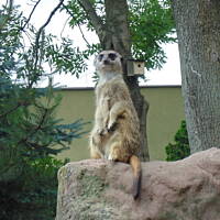 Stołeczne Książece Miasto Płock 