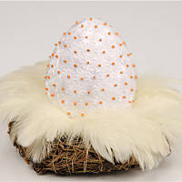 Jajko stokrotka w pierzastym gniazdku