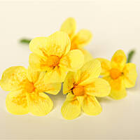 Wielkanocne dekoracje