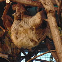 Stołeczne Książece Miasto Płock 