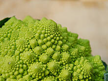 Fot. Wkn, Kalafior romanesco - piękny i niskokaloryczny