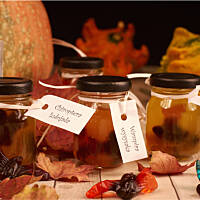 Nietoperze w formalinie