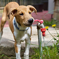 Jak to się zakręca...