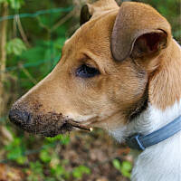 Mrówkojad nad jeziorem :)