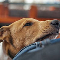 Mała Mordka jest czasem bardzo poważna :)