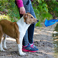 Dziwne te zabawy z ludzkimi dziećmi... :P