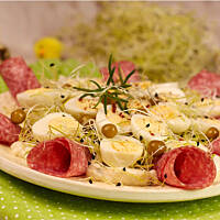 Jajeczka na kiełkach pora