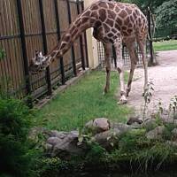 Stołeczne Książece Miasto Płock 