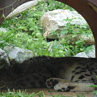Stołeczne Książece Miasto Płock 