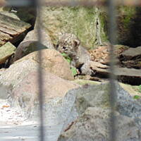 Stołeczne Książece Miasto Płock 