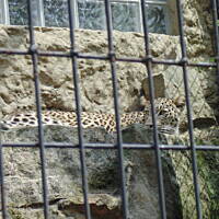 Stołeczne Książece Miasto Płock 