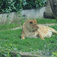 Stołeczne Książece Miasto Płock 