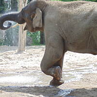 Stołeczne Książece Miasto Płock 