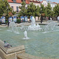 Stołeczne Książece Miasto Płock 