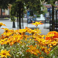 Stołeczne Książece Miasto Płock 