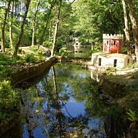 Roślinność zachodniego wybrzeża Portugalii