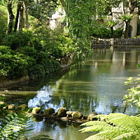 Roślinność zachodniego wybrzeża Portugalii