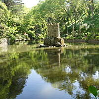 Roślinność zachodniego wybrzeża Portugalii