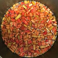 Deser z rabarbarem i truskawkami