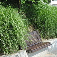 Stołeczne Książece Miasto Płock 