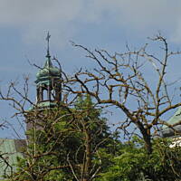 Stołeczne Książece Miasto Płock 