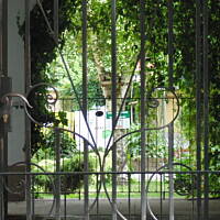 Stołeczne Książece Miasto Płock 