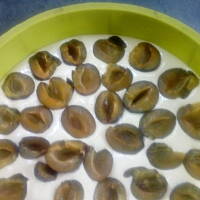 ciasto z węgierkami bez tłuszczu