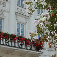 Stołeczne Książece Miasto Płock 