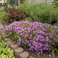 majówka ... fajna rzecz ... 