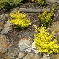 majówka ... fajna rzecz ... 