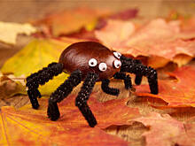 Fot. Wkn, Cuda z kasztanów