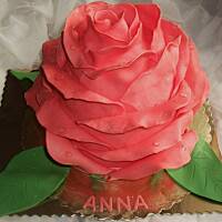 torty , torciki i inne słodkości