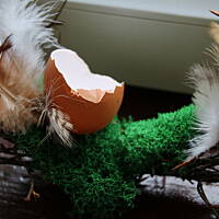 Świąteczne dekoracje