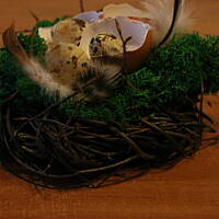 Świąteczne dekoracje