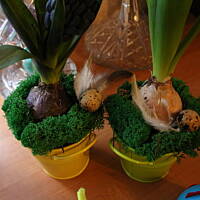 Świąteczne dekoracje